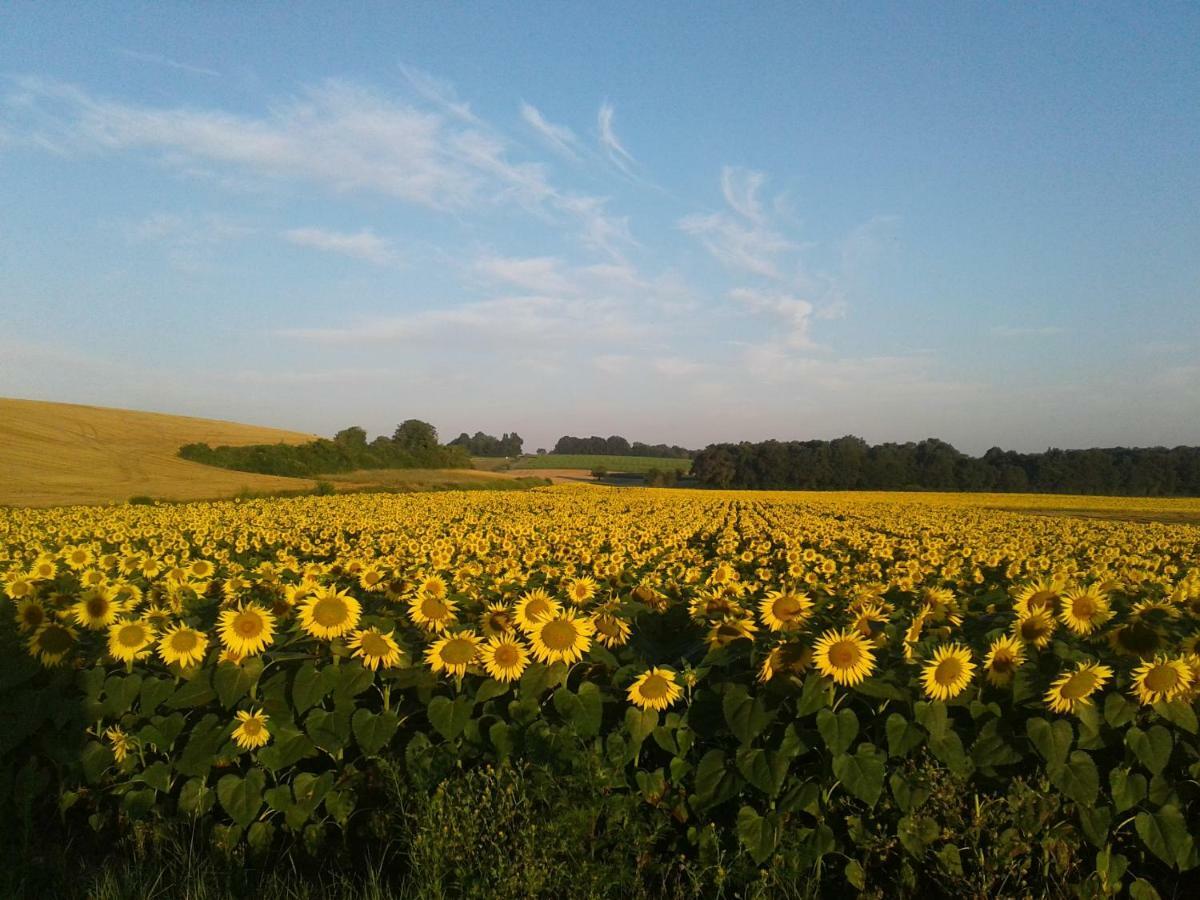 Fleur Du Soleil Villa Agudelle Kültér fotó